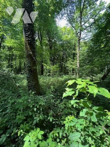 Parcelles de Bois avec Étang - Commune de BROUALAN