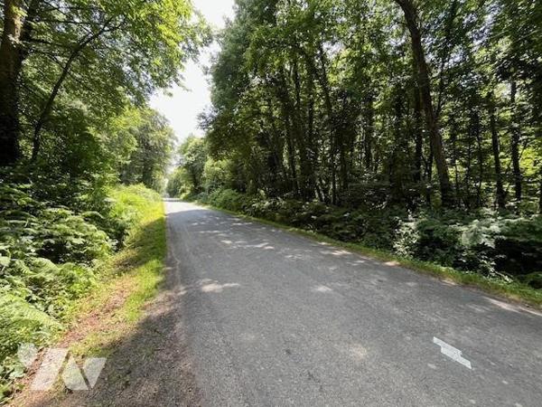 Parcelles de Bois avec Étang - Commune de BROUALAN