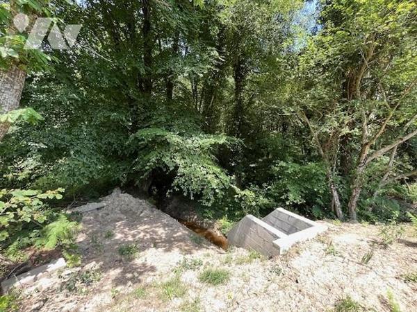Parcelles de Bois avec Étang - Commune de BROUALAN