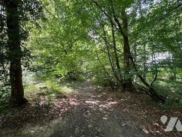Parcelles de Bois avec Étang - Commune de BROUALAN