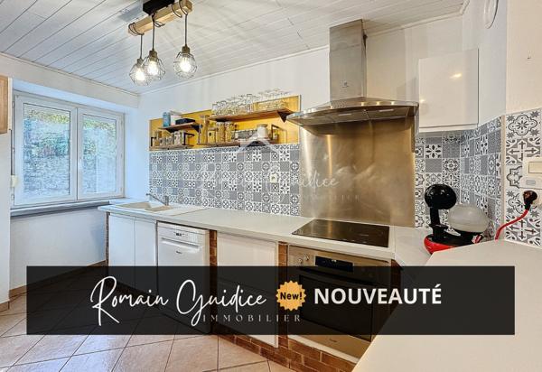 Saint-Georges-de-Luzençon (12100) MAISON DE VILLE TYPE 5 123 M² AVEC GARAGE