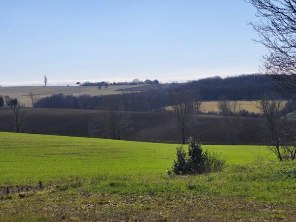 Vente / Terrain constructible