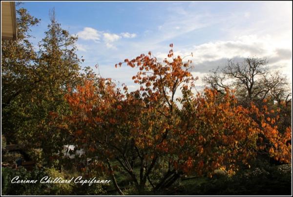 A vendre, maison de village P4 - 128 m² à Mars la Tour (54800)