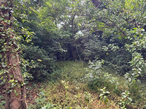 Au calme, Maison à rénover sur la commune Montmerle Sur Saône 6 pièce(s) 127 m2