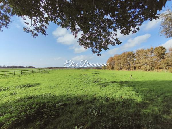 Nouveauté ? Propriété rare à Saint-Jouin-Bruneval sur 9000m²