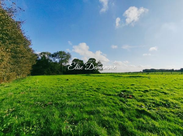 Nouveauté ? Propriété rare à Saint-Jouin-Bruneval sur 9000m²