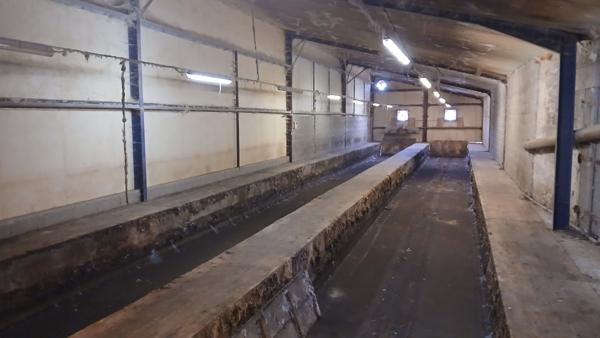 Ancienne ferme, maison et grandes dépendances