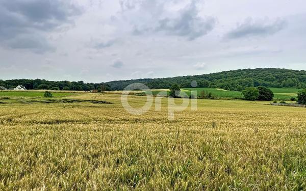 Terrain à vendre    Sacy-le-Grand