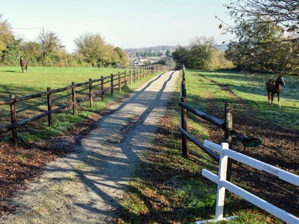 Propriété Équestre en Charente