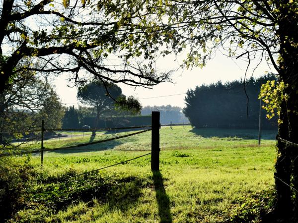 Propriété Équestre en Charente