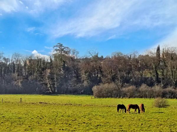 Propriété Équestre en Charente