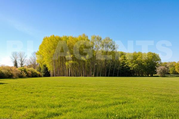 Terrain constructible 7700 m² Proche CHINON