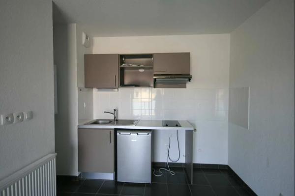 Appartement à louer à Salvetat-Saint-Gilles (31880)