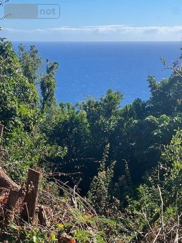 Terrain à Batir à vendre à Saint-Denis à la Réunion (97400), ref : DAL   
Vigie