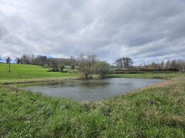 Terrain de loisirs - Bois - Etang à vendre à Vaas dans la Sarthe (72500), ref : 106403