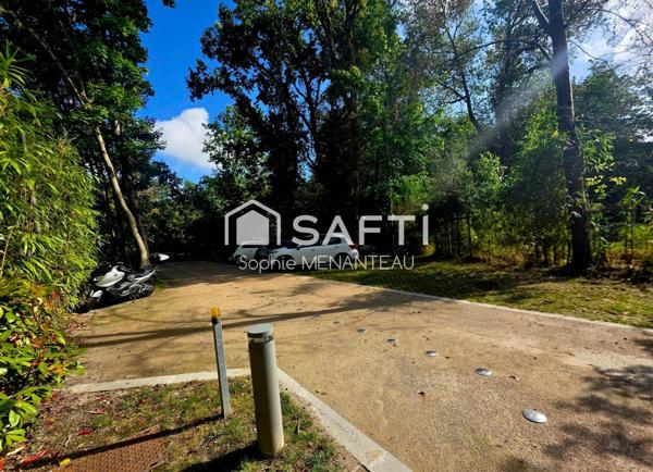 superbe appartement très lumineux