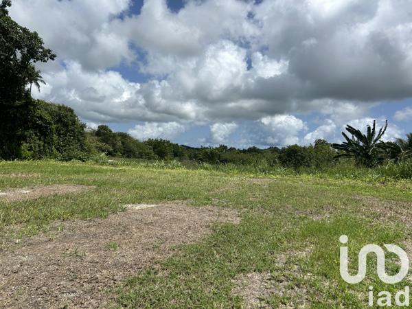 Terrain à vendre 1 339 m² Sainte-Anne