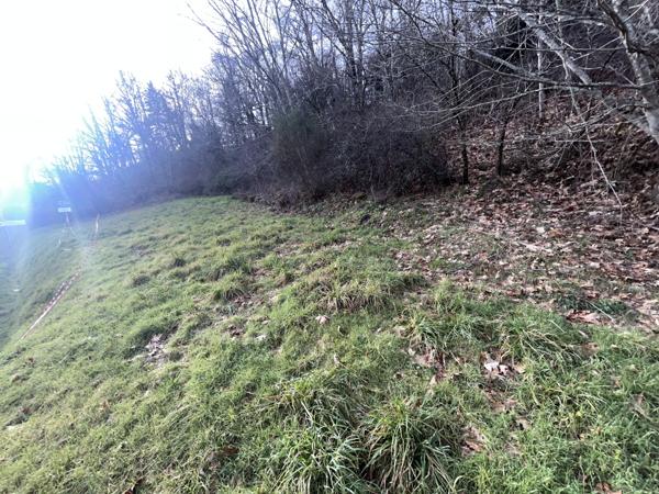 Maison 4 pièces - 110 m² Exclusivité efficity