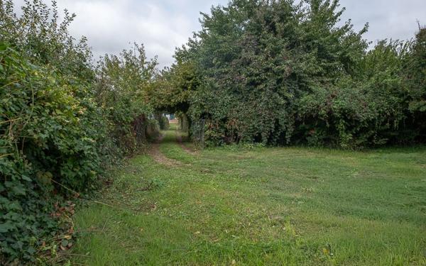 Maison à vendre    9 pièces • 257 m2 Limas