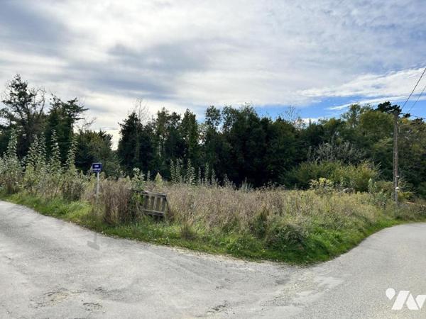 Vente Terrain à bâtir au Palais