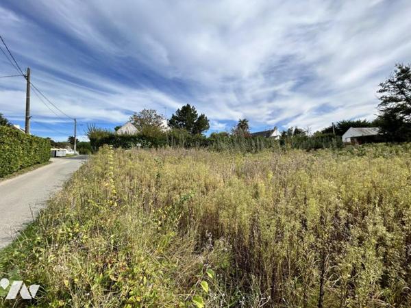 Vente Terrain à bâtir au Palais