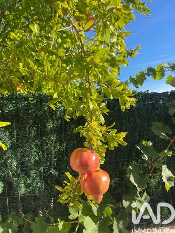 Maison à vendre 5 pièces 143 m² Castelnau-le-Lez