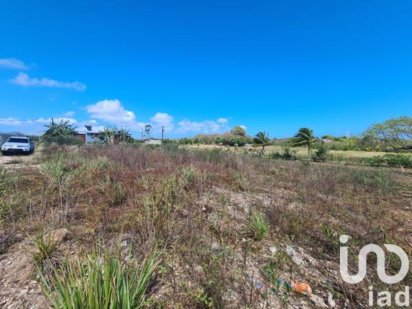 Terrain à vendre 1 063 m² Petit-Canal