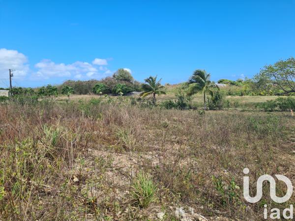 Terrain à vendre 1 063 m² Petit-Canal