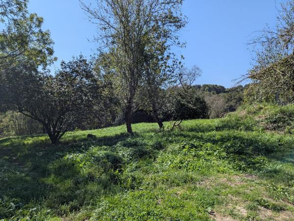 Maison de village 65 m² avec grange et jardin Le mas d azil