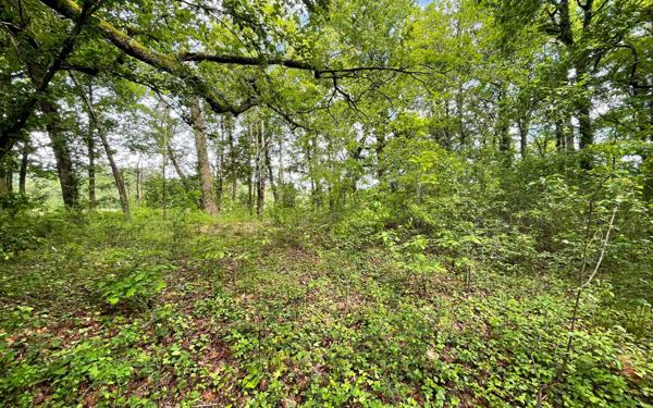 Terrain à vendre    Saint-Geours-de-Maremne