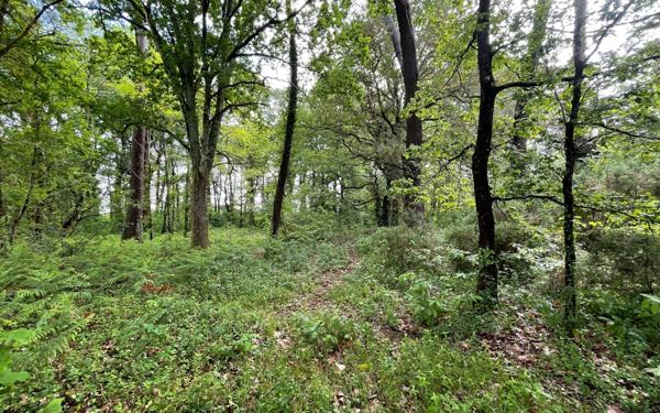 Terrain à vendre    Saint-Geours-de-Maremne