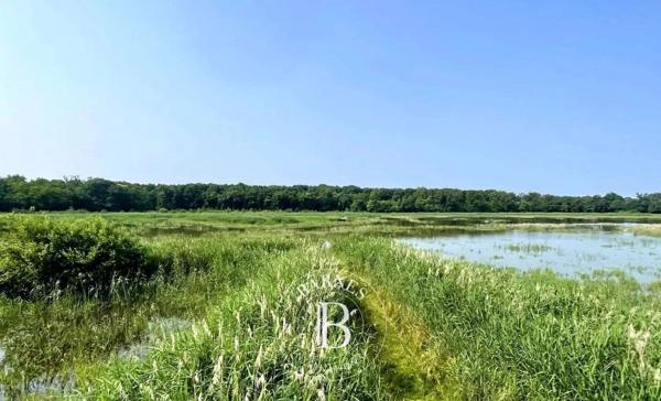 Mionnay, Domaine de chasse  1 330 000 m² à vendre