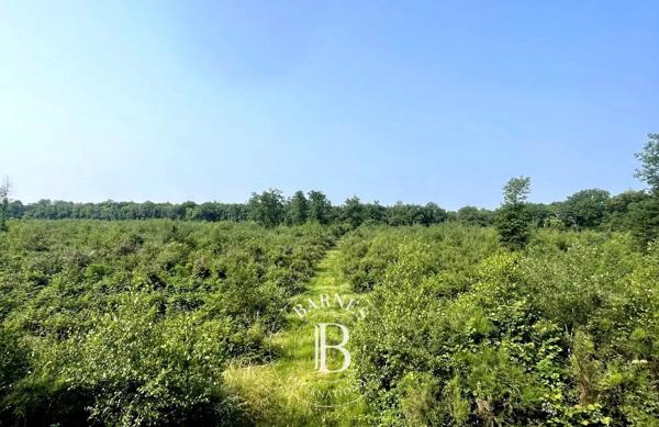 Mionnay, Domaine de chasse  1 330 000 m² à vendre