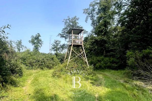 Mionnay, Domaine de chasse  1 330 000 m² à vendre