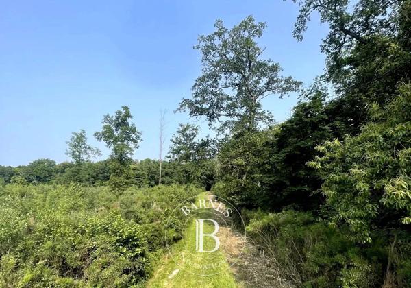 Mionnay, Domaine de chasse  1 330 000 m² à vendre