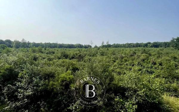 Mionnay, Domaine de chasse  1 330 000 m² à vendre