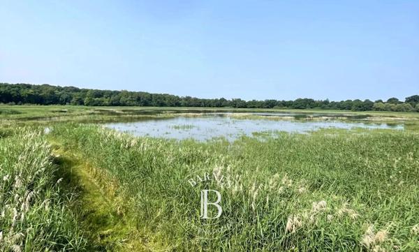 Mionnay, Domaine de chasse  1 330 000 m² à vendre