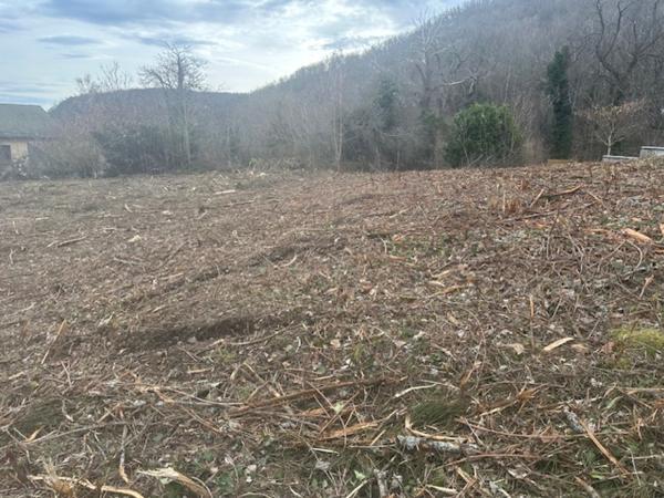 Terrain