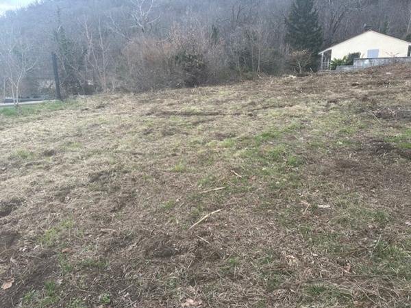 Terrain