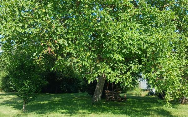 Maison à vendre    3 pièces •  Saint-Hilaire-de-Court