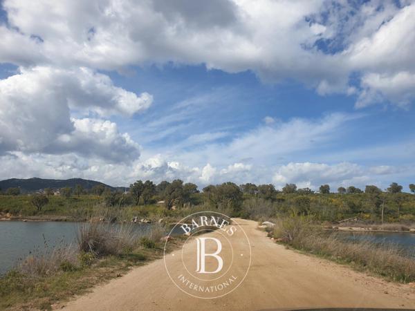 Sainte-Lucie-de-Porto-Vecchio, Terrain constructible  1 659 m² à vendre