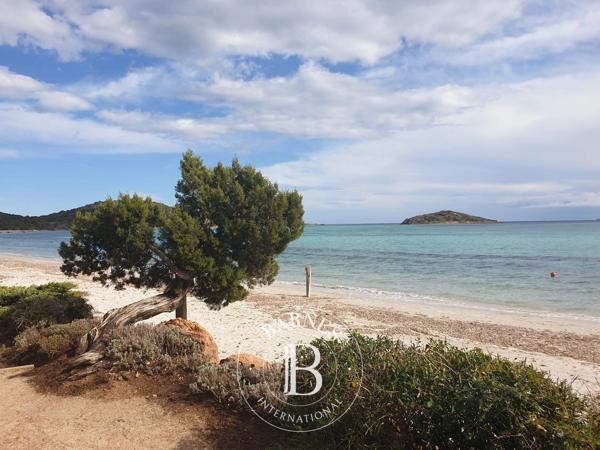 Sainte-Lucie-de-Porto-Vecchio, Terrain constructible  1 659 m² à vendre