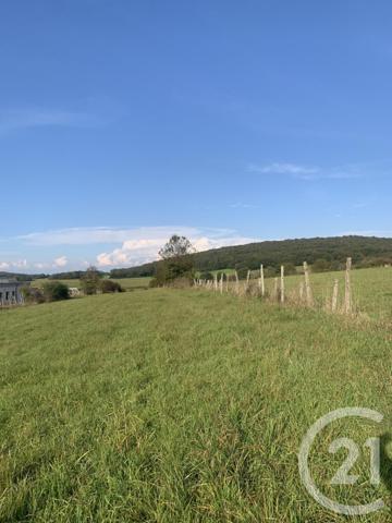 Terrain à vendre  2561 m2 ANDELARROT - 70