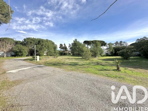 Appartement à vendre 2 pièces 31 m² Castellare-di-Casinca