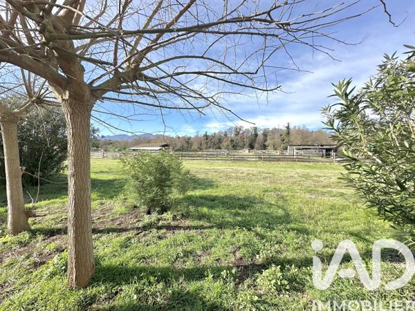 Appartement à vendre 2 pièces 31 m² Castellare-di-Casinca