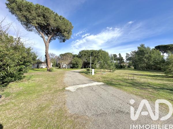 Appartement à vendre 2 pièces 31 m² Castellare-di-Casinca