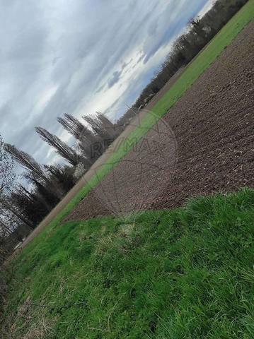 Terrain  en vente - Haut-Rhin - 68