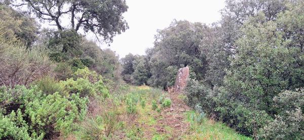 Terrain de loisirs 16900 m2 FAUGERES /BEDARIEUX