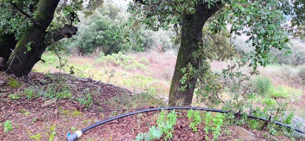 Terrain de loisirs 16900 m2 FAUGERES /BEDARIEUX