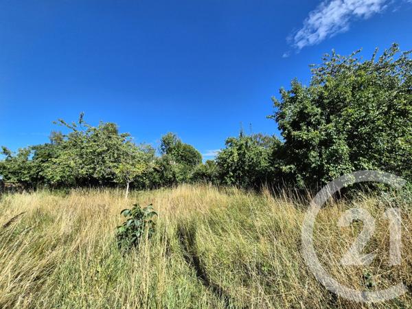 Terrain à vendre  972 m2 BOUCE - 61
